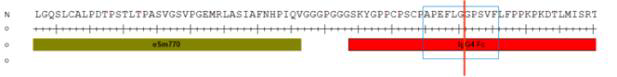 eSm770-Fc amino acid sequence에서 IdeS protease 작용 부위