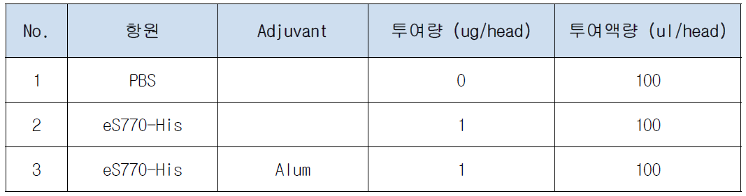 eS770-His 면역원성 평가를 위한 동물 실험군