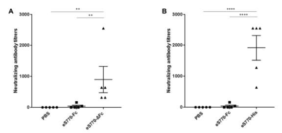 MERS-CoV-specific neutralization antibody titers in immunized mice. Serum samples were collected on day 10 after the second immunization to determine neutralization antibody titers. (A) Comparison of neutralizing antibody titers between eS770-Fc and eS770-ΔFc. (B) Comparison of neutralizing antibody titers between eS770-Fc and eS770-His. Data are presented as means ± SEM. Data were considered significant at **p < 0.01 and ****p < 0.0001 (one-way ANOVA)