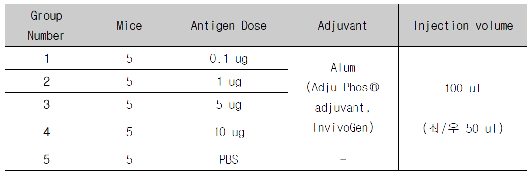 최종 백신 제제의 dose별 면역 계획