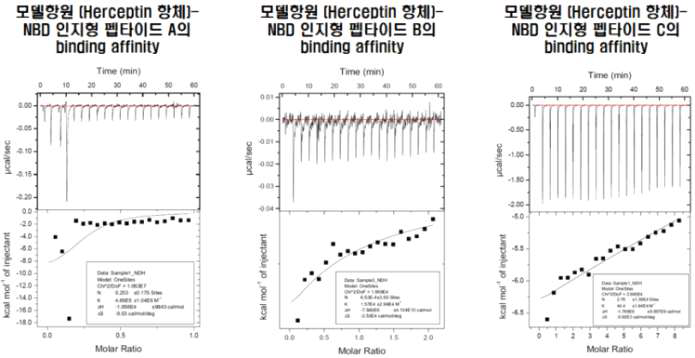 NBD 발현 모델 항원1과 펩타이드의 결합능 평가 – ITC 측정 결과