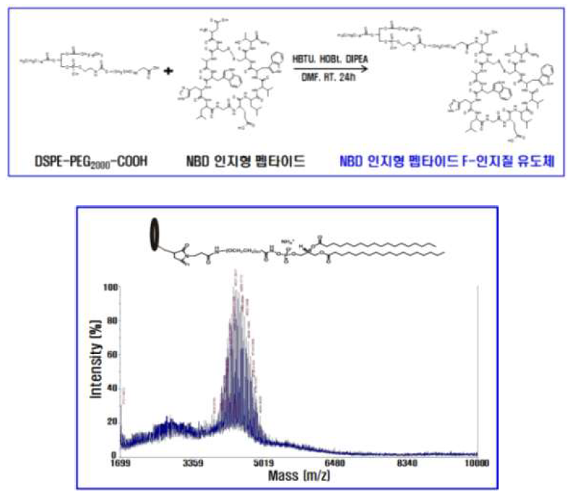 펩타이드 F-인지질 유도체의 합성 및 평가