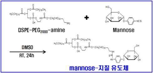 수지상 세포 표적 항원 전달을 위한 mannose-지질 유도체의 설계