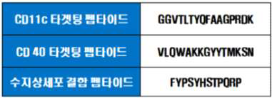수지상 세포의 CD11c 및 CD40 마커 표적성 펩타이드