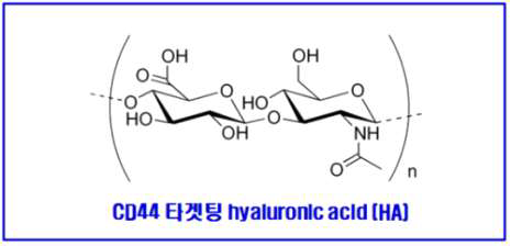 CD44 리간드인 hyaluronic acid의 구조적 특성