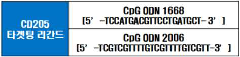 CD205 결합 리간드로서 CpG ODN 1668 및 CpG ODN 2006의 설계