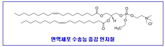 나노 인지질 입자의 양하전 부여를 위한 인지질 구조