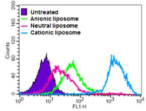 나노 인지질 입자의 표면 하전도에 따른 세포내 수송능 조절