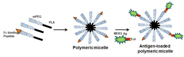 고분자 미셀 나노 어쥬번트의 모식도