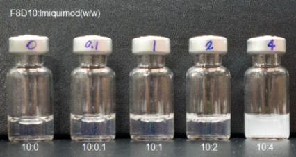 펩타이드: Imiquimod 비율에 따른 펩타이드 나노 구조체의 안정성: 제조 직후