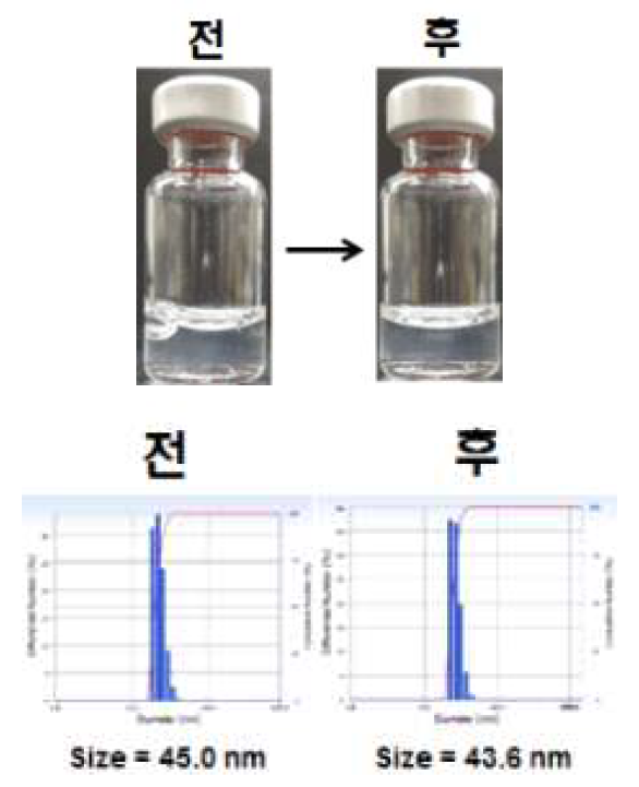 펩타이드 미셀 나노 어쥬번트의 동결건조 전 후 재분산 양상(상) 및 입도 분포(하)