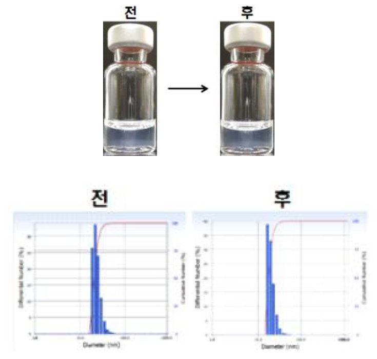 항원과 펩타이드 미셀 나노 어쥬번트 혼합제제의 동결건조 공정 전 후 재분산 양상(상) 및 입도 분포(하)