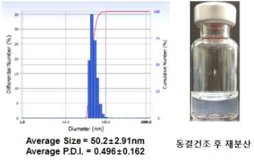 10% Trehalose 부형제 사용시 나노 어쥬번트 및 항원 혼합제제의 동결건조 후 입도 분포(좌) 및 재분산 양상(우)