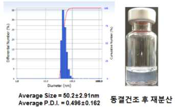 10% Trehalose 부형제 사용시 나노 혼합제제의 동결건조 후 입도 분포(좌) 및 재분산 양상(우)