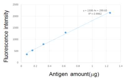 형광물질 결합 단백질의 검량선