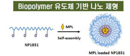 Biopolymer 유도체 기반 나노 제형 NP1831의 모식도