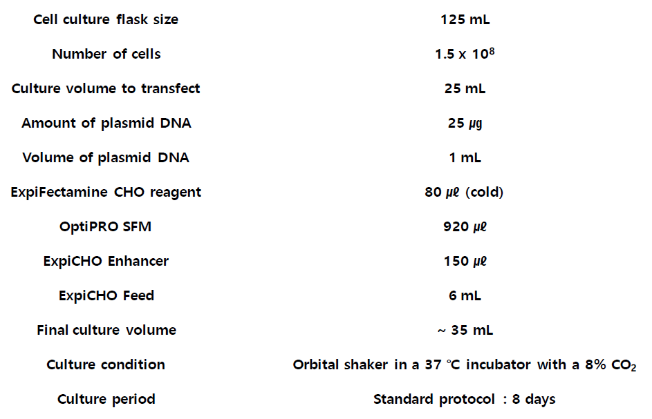 Transient transfection 조건