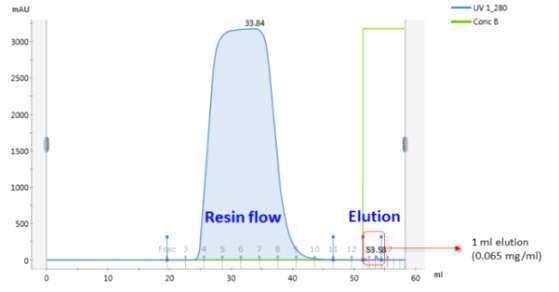 배양 상등액 affinity chromatogram