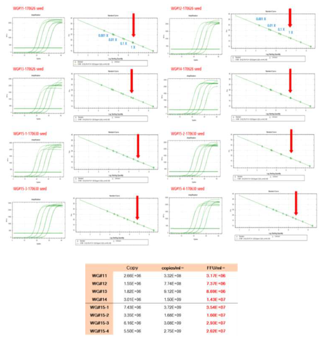 Real-time PCR을 통한 Baculovirus seed titration 결과 및 copies number를 FFU/ml로 환산한 결과