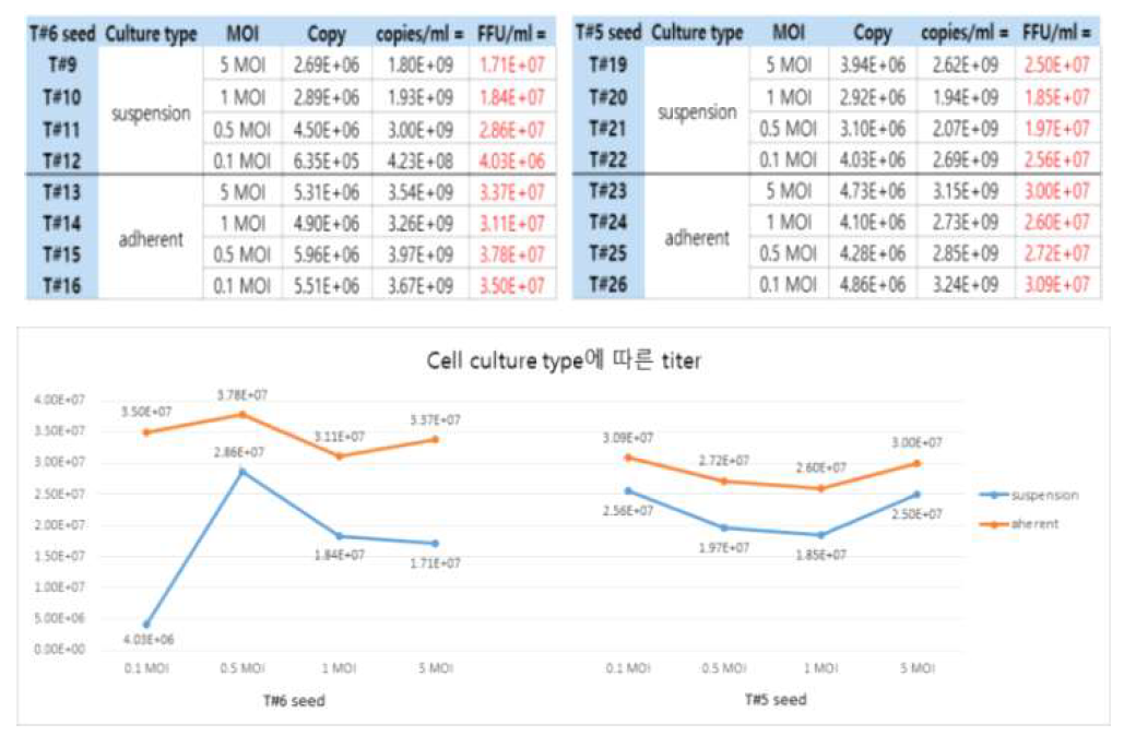 Real-time PCR을 통한 Baculovirus seed titer FFU 환산 & 그래프