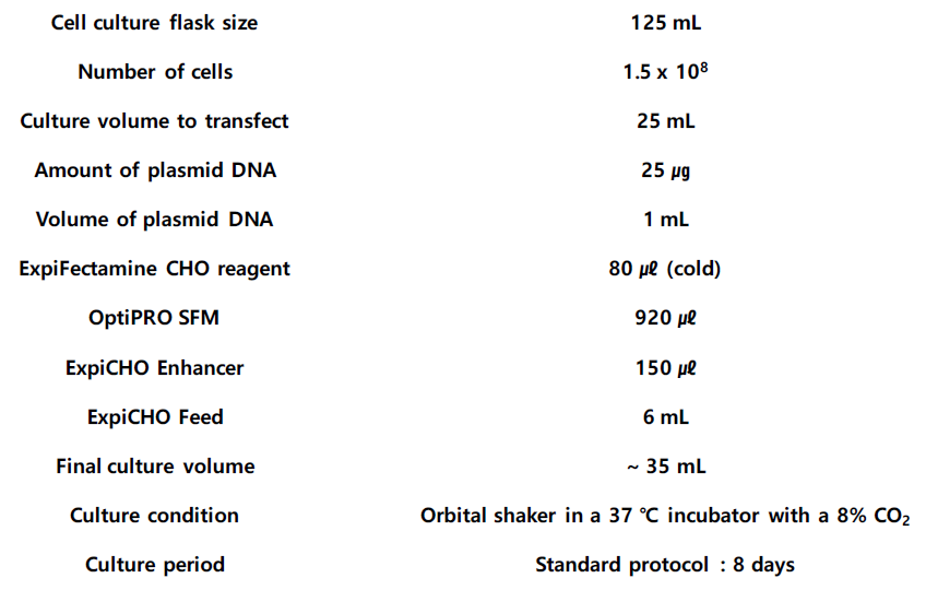 Transient transfection 조건