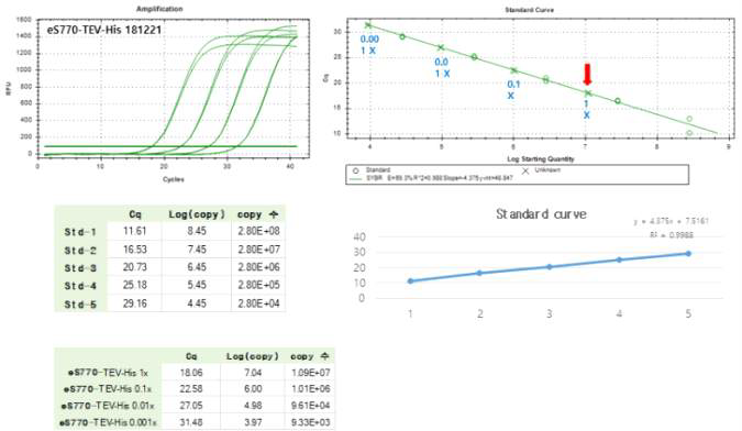 Real-time PCR을 통한 Baculovirus seed titration 확인 결과와 copies number를 FFU/ml로 환산한 결과 방식