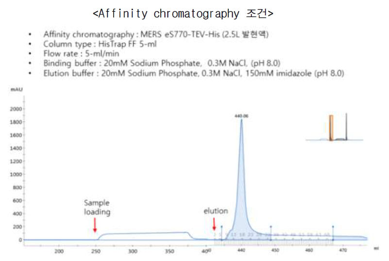 확보한 eS770-TEV-His 2.5L 발현액의 affinity chromatography 결과