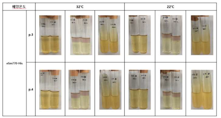 MERS eSm770-His seed 무균시험