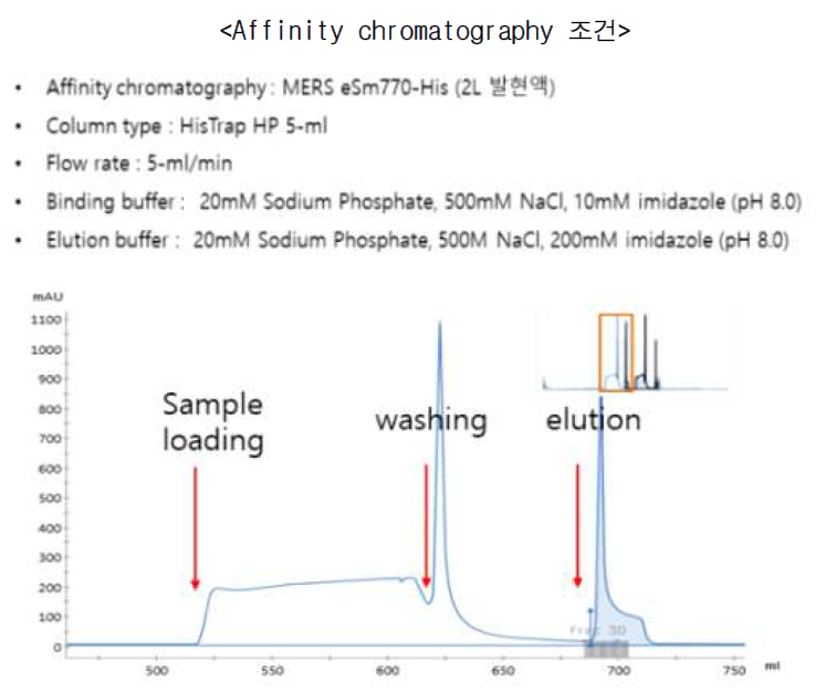 확보한 eSm770-His 2L 발현액의 affinity chromatography