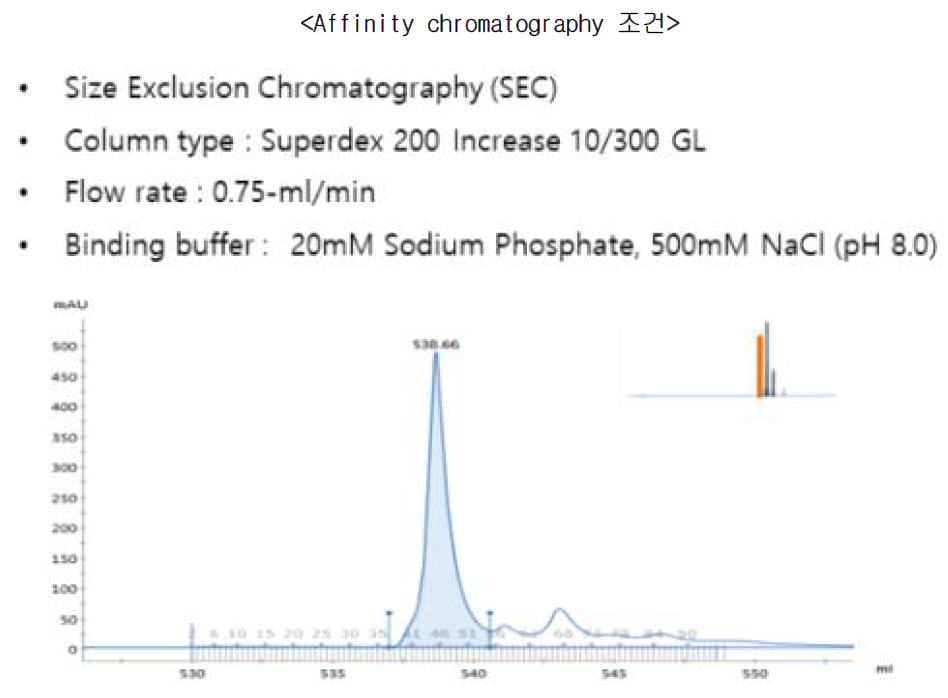 Affinity Chromatography를 통해 확보된 MERS eSm770-His 항원 Size Exclusion Chromatography