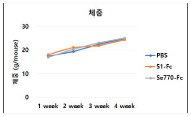 독성 및 안전성 평가: 체중변화