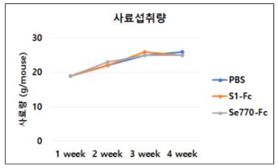 독성 및 안전성 평가: 사료섭취량 변화