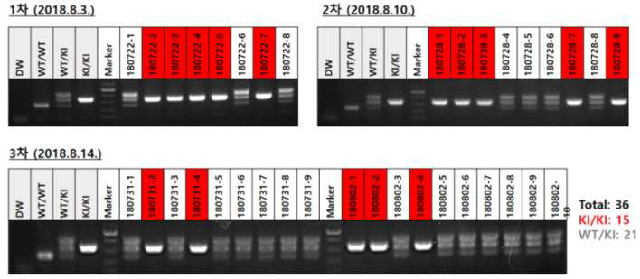 Genotyping 결과