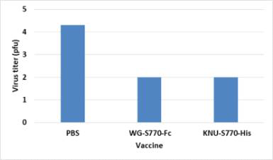 Lung virus titer 결과