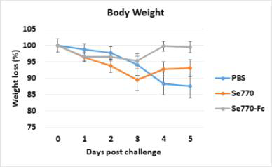 Mouse body weight 결과