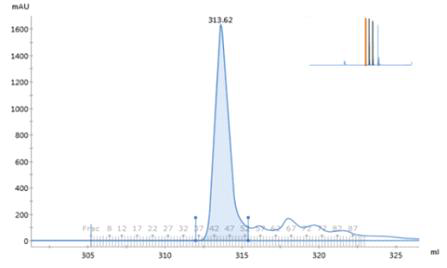 Affinity Chromatography를 통해 확보된 MERS-CoV eS1-770 발현 항원의 Size-exclusion chromatography elution profiles