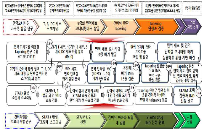 STAIM 개발과 면역 모니터링 마커 셋 유효성 검증을 통한 간이식 면역조절제와 마커 커 개발