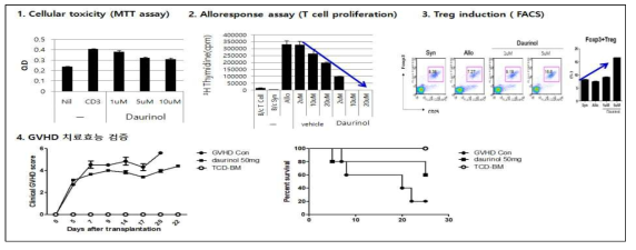 다우리놀에 의한 염증성 T세포 증식 억제 및 GVH에서의 치료 효과