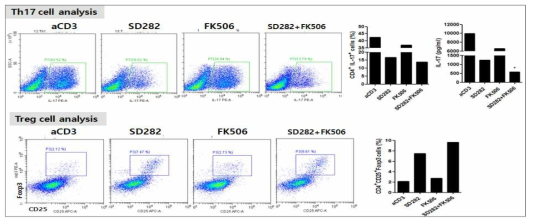 SD282와 FK506 병용 처리에 의한 Treg/Th17 조절능