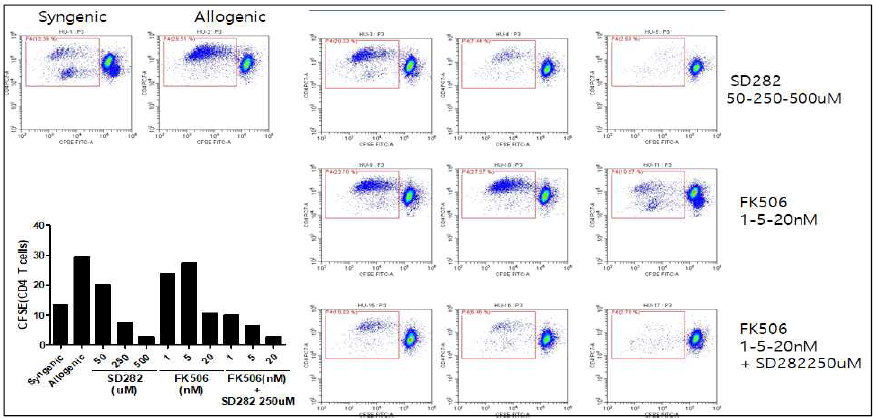 SD282와 FK506 병용에 의한 human alloreactive T 세포 증식억제효능
