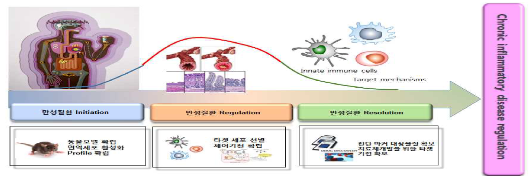 제안 과제의 단계별 연구내용