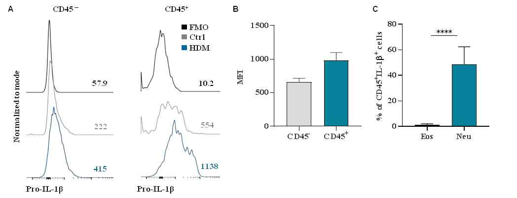 ILC3를 활성화 시킬수 있는 IL-1β를 분비하는 세포 확인