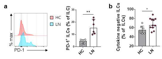 루푸스 신염 환자(LN) 혈액에서 증가한 cytokine negative ILCs와 PD-1을 분비하는 ILCs