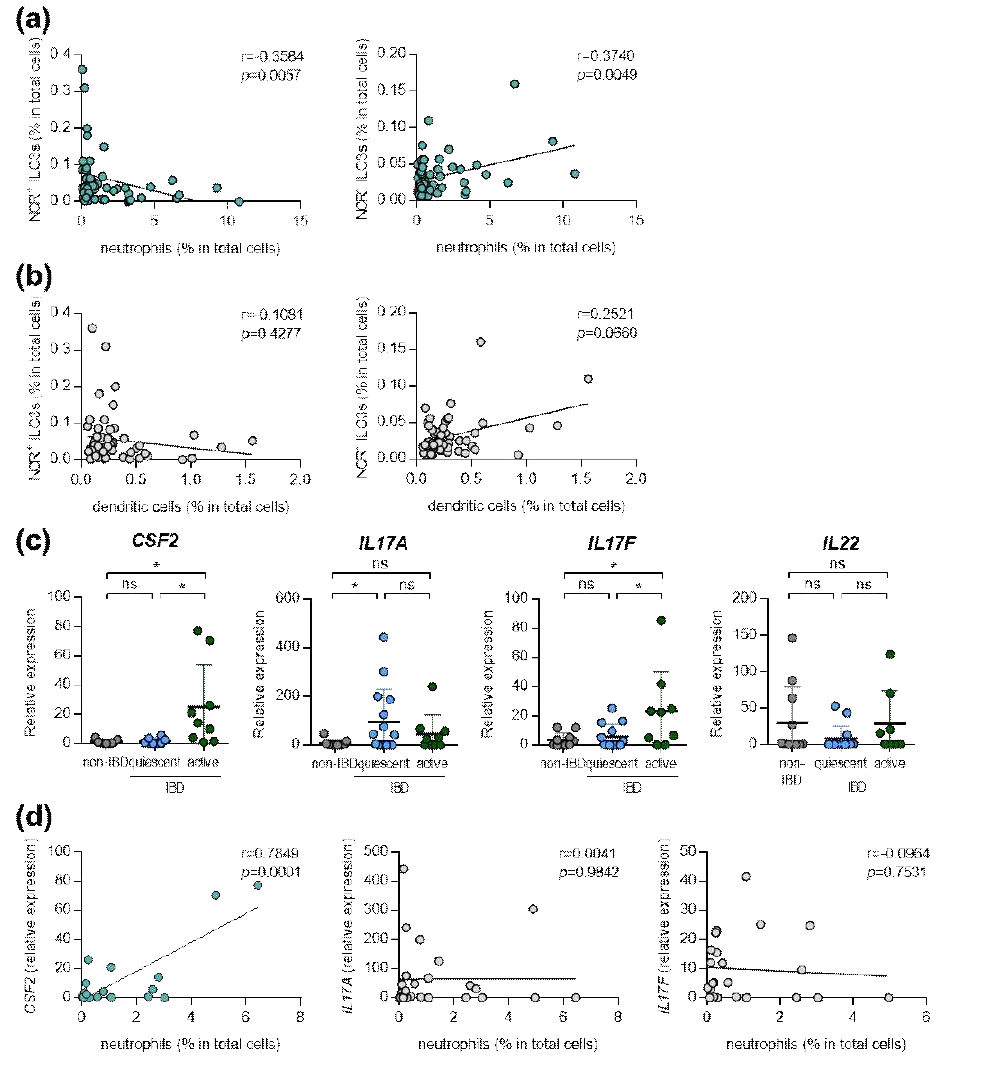 ILC3s와 neutrophil의 상관관계 분석