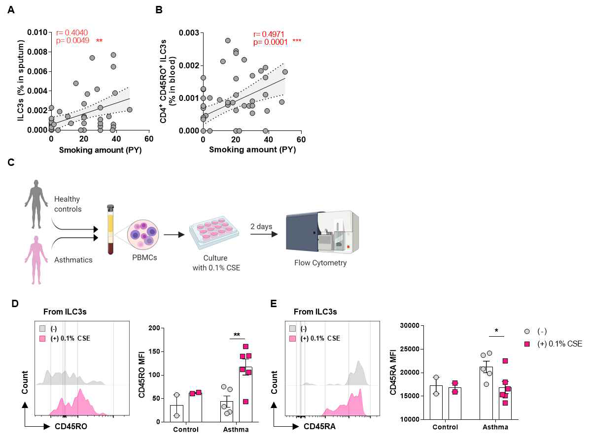 PBMCs에 담배 추출물(cigarette smoke extract;CSE) 처리 후 ILC3에서 CD45RO와 CD45RA 발현 변화
