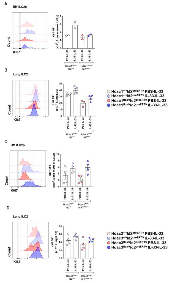 ILCs 특이적 HDAC1, HDAC3 결여 마우스에서 면역 기억 ILC2s의 발달 및 증식 확인