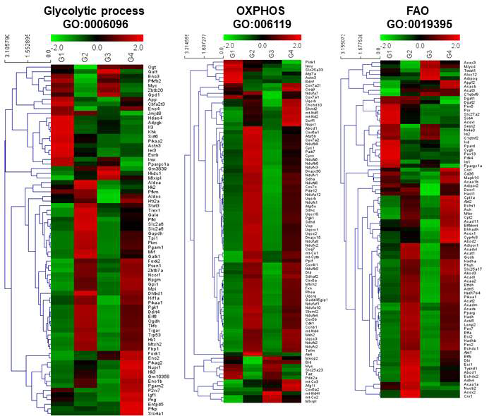 RNA sequencing 결과에서 면역 기억 ILC2ss에서 변화한 에너지 대사 관련 유전자