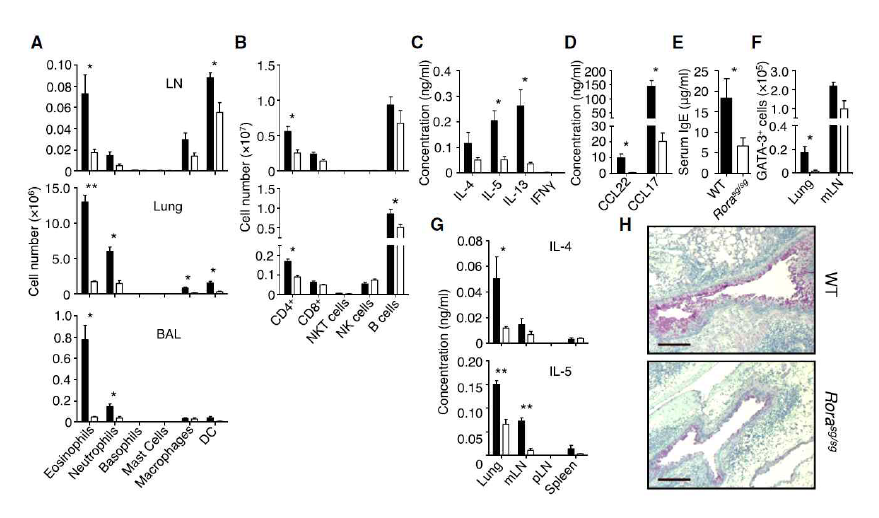 ILC2s-deficient mice were incapable of mounting an effective Th2 cell response and had greatly reduced type 2 lung inflammation