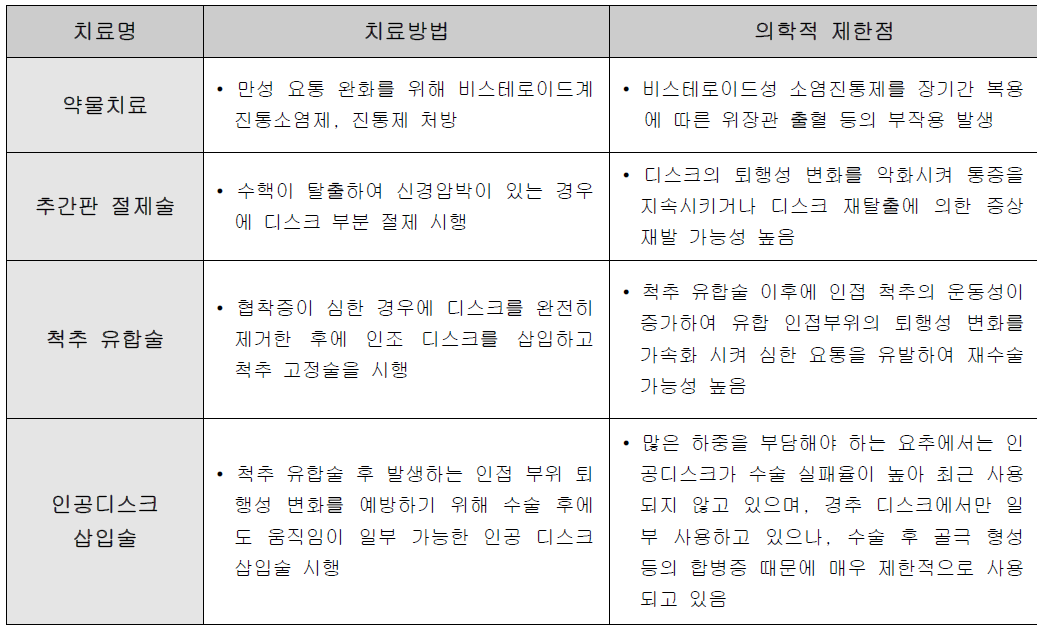 기존의 퇴행성 디스크 치료방법 및 의학적 한계점