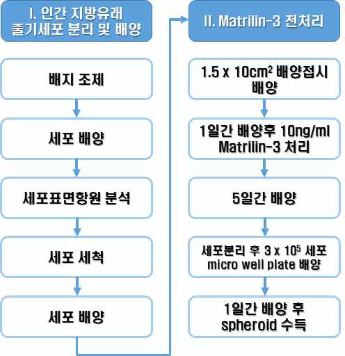 세포치료제 제조 공정